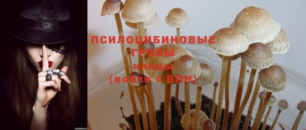 экстази Алексеевка
