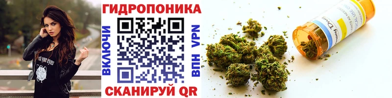 купить наркотики цена  shop официальный сайт  Бошки марихуана Ganja  Кинель 